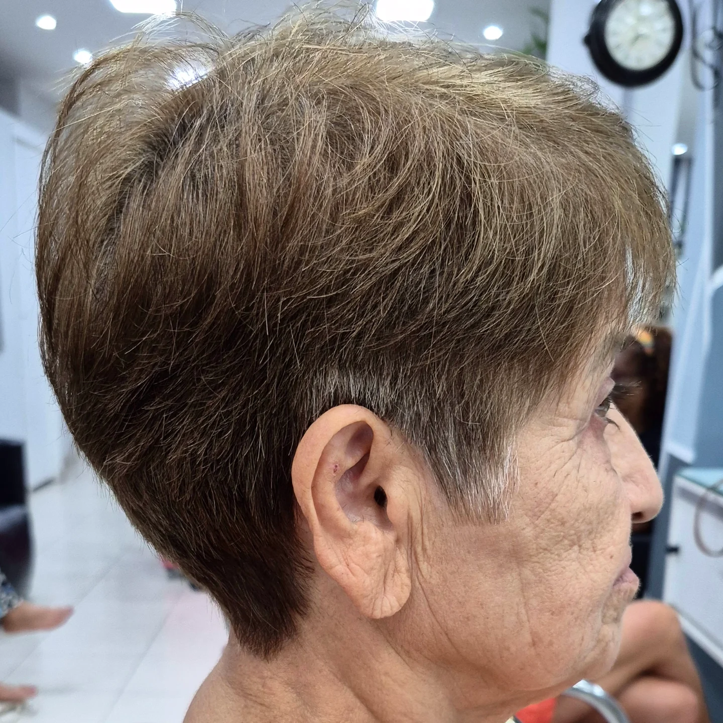 Corte
