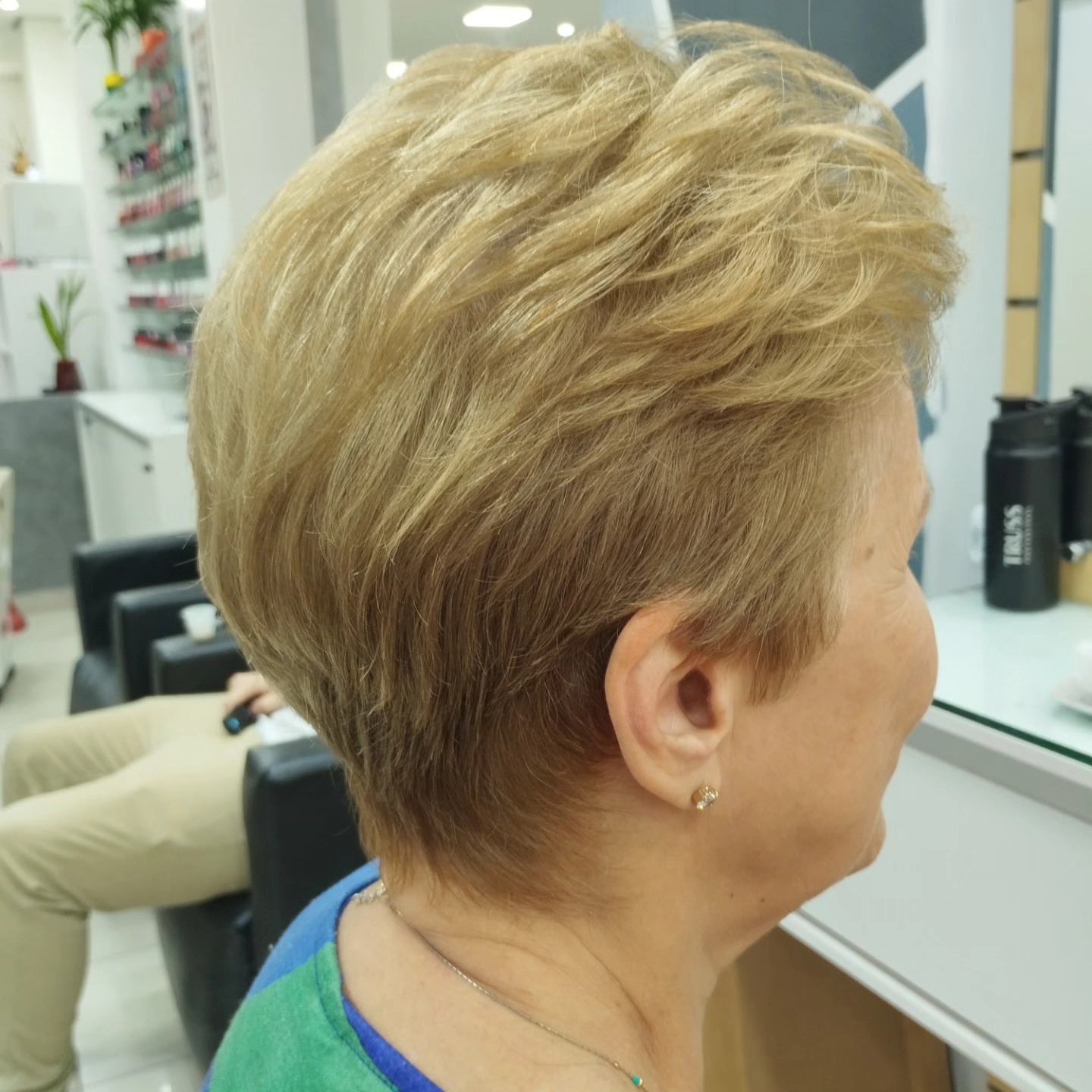 Corte